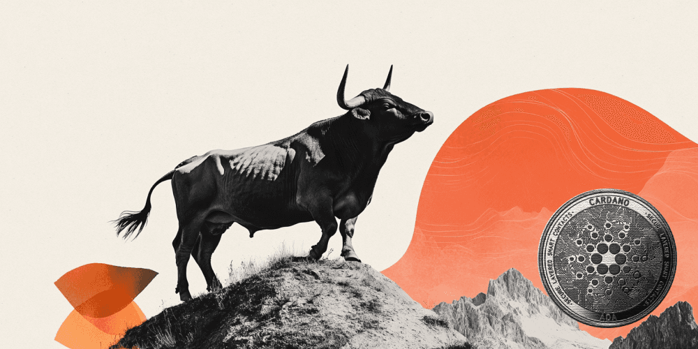 Los datos en cadena y de derivados de Cardano muestran signos de una recuperación temprana